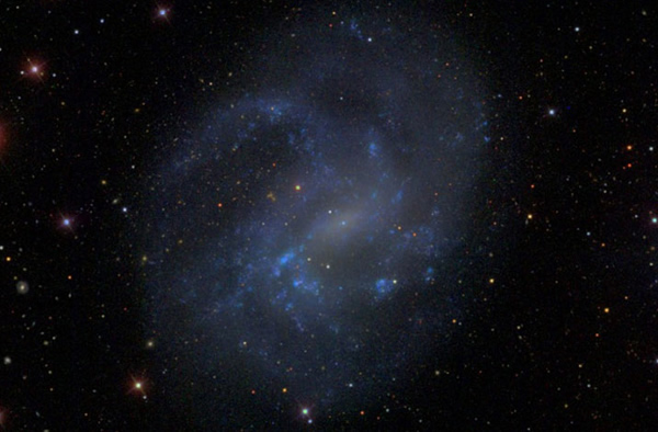 Dwarf galaxy NGC 4395, previously thought incapable of having a central massive