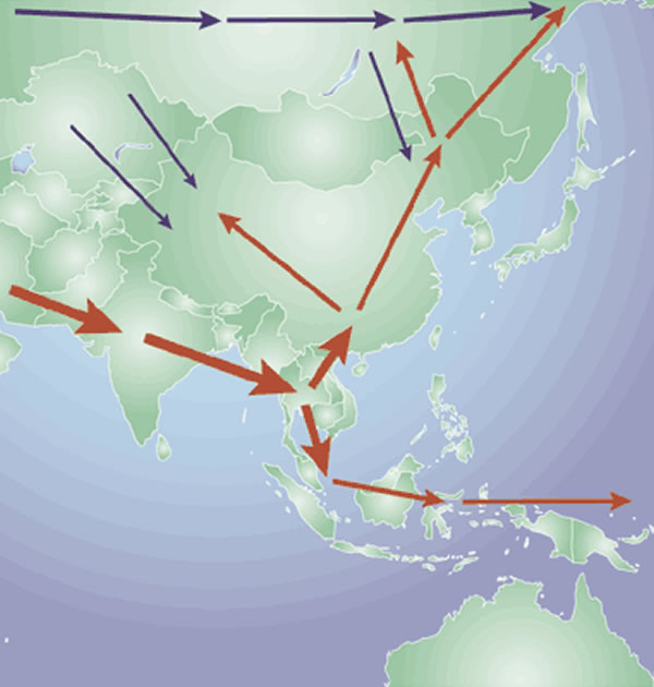 ����Ѫͳ�Ķ����˵ļٶ���Ǩ��·��