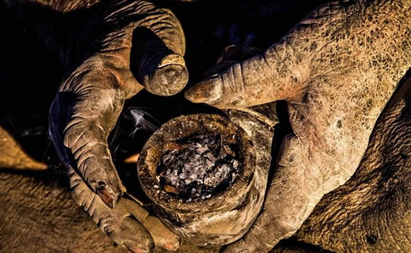 伊朗有一名60年来拒绝洗澡的奇男子