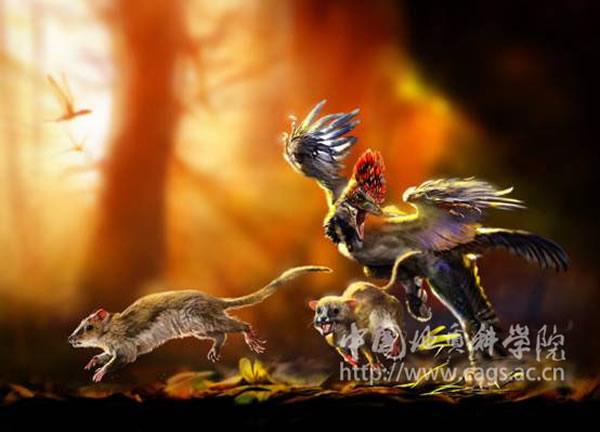 ŷ�����Ƴ��޸�ԭͼ