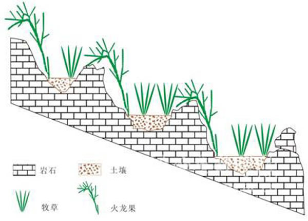 ��������������������ݻ���ֲ����