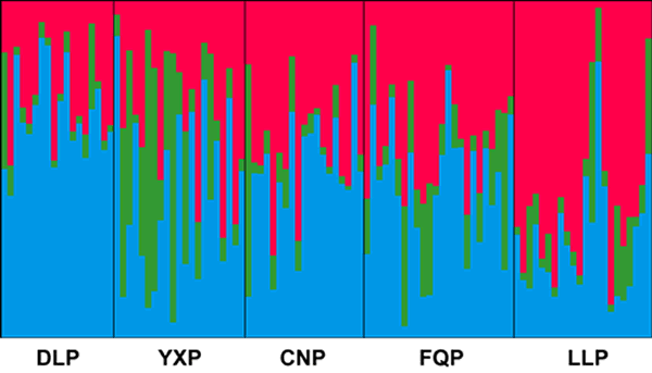 �����Ⱥ����ϵ����