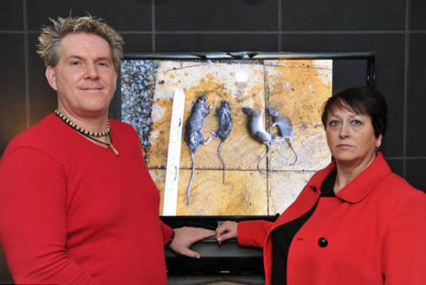 ������뿭���ڼҸ����ѿ�������ֻ����