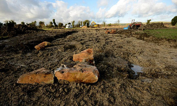 Ӣ���������ؿ�ũ��Ч����ʯ��ʱ����Ĺ��