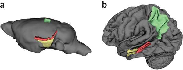 С໼ߴĳһܵմ֢쳣׵Ӱ