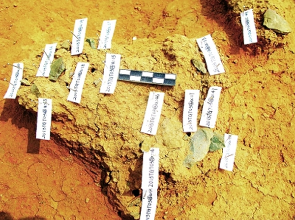 分布密集的石制品