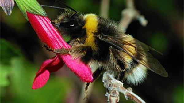 ���ϵ���Ϣ���÷����Ϻ󱣳�������λ