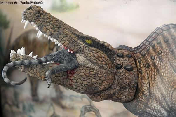 Sahitisuchus fluminensisĸԭͼ