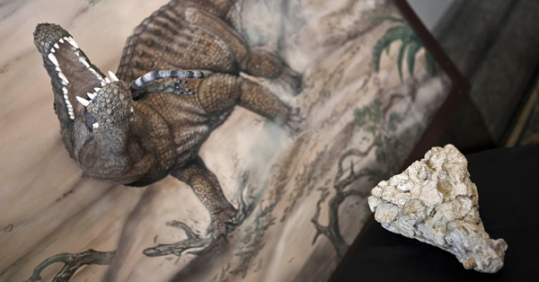 Sahitisuchus fluminensisĸԭͼ