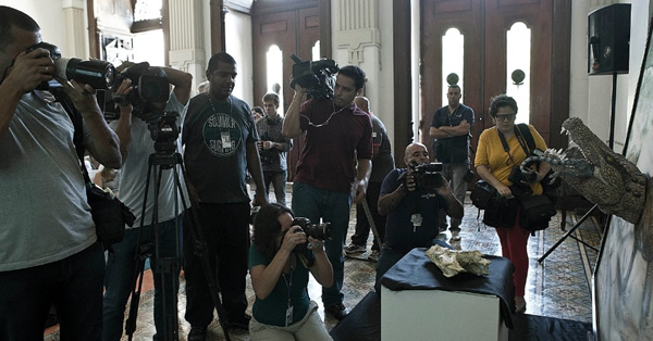 Sahitisuchus fluminensisĻʯŷ