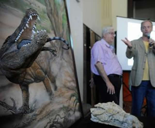 Sahitisuchus fluminensisĻʯŷ