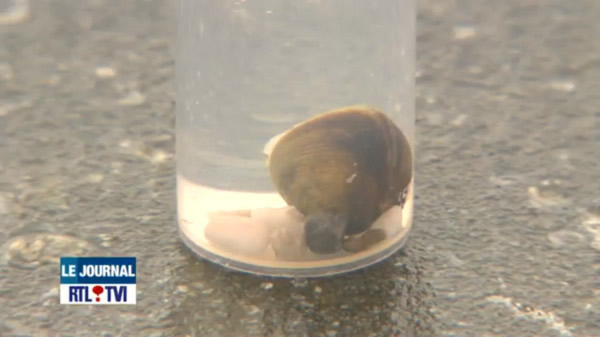 ���޸������ֱ���ʱ����ˮ���峺�������