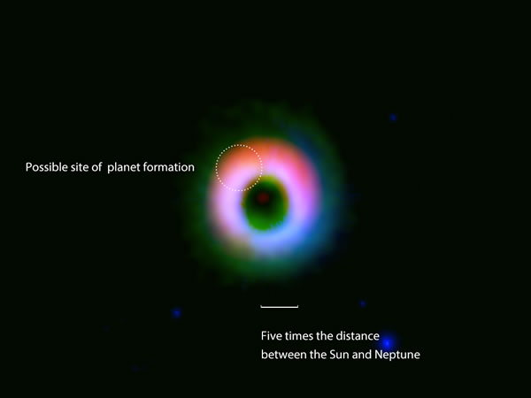 The dust and gas disk around HD 142527. The dust and gas observed by ALMA are sh