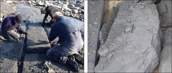 Ӣ��٪�޼ͺ�������������ʯ��������Ѱ����