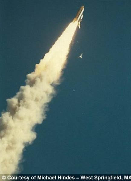 ���պ��������������Ƭ������������ɫ���������������ս�ߡ��ų����������⣬�ȴ����Ľ��ǿ��µ�����