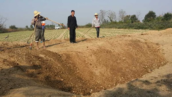 荣村考古原址正在填埋,等过年后再开挖
