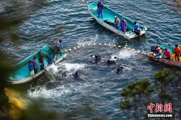 ʱ2014121գձ̫ء塱ձΧĺࡣ