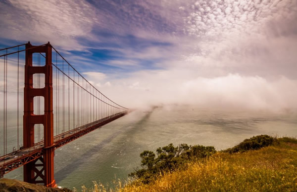 ��ɼ�����Ŵ��������������µ���������