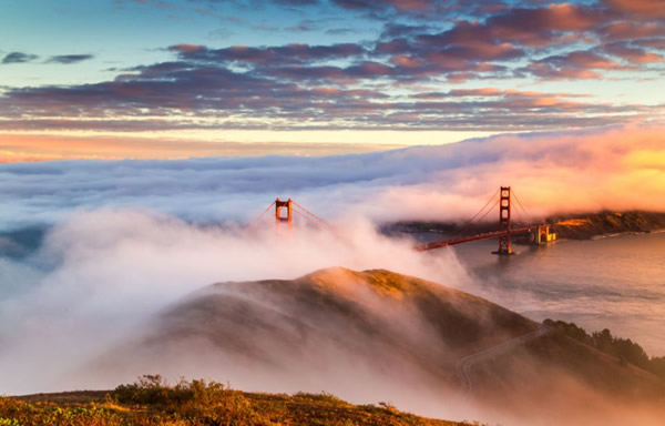 ��ɼ�����Ŵ��������������µ���������