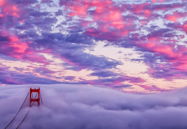 ��ɼ�����Ŵ��������������µ���������