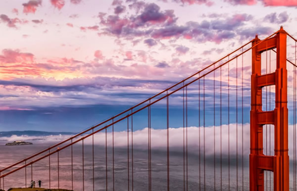 ��ɼ�����Ŵ��������������µ���������