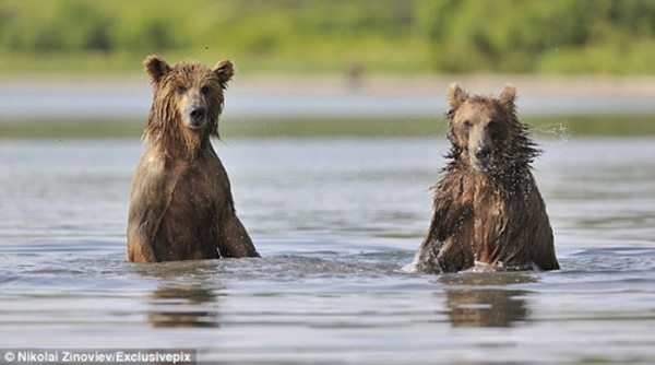 žۺòģֻˮϷһСʱ