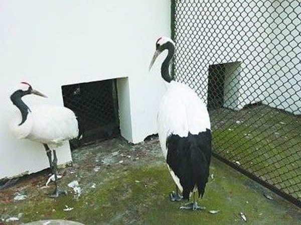 ��ֻ�����ױ��͵��������վ���и���