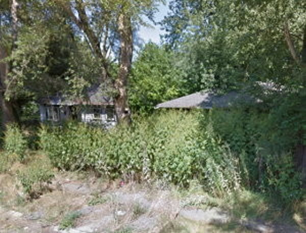 附近很多住家周遭都是草木繁盛