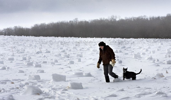 美国中西部惊现奇妙的自然景象——“雪卷”
