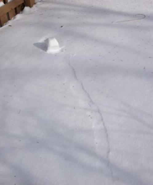 美国中西部惊现奇妙的自然景象——“雪卷”