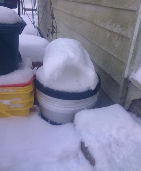 美国中西部惊现奇妙的自然景象——“雪卷”