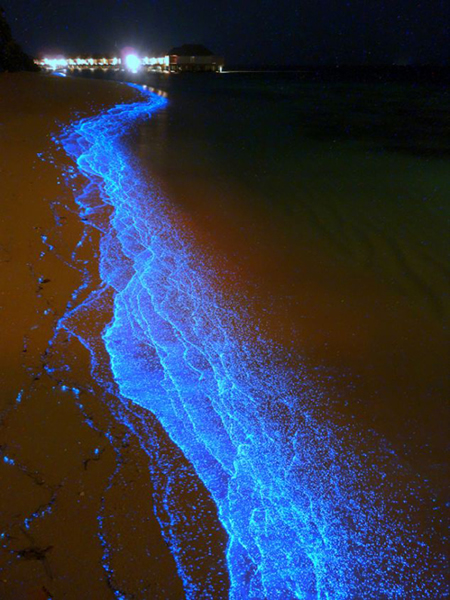 马尔代夫的蓝色光效海滩