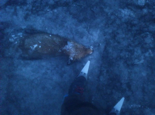 ���궳���������������