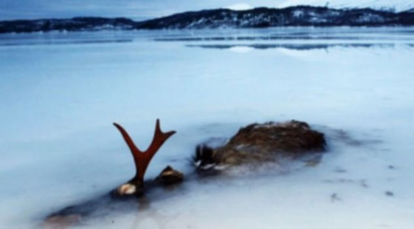 һֻ��¹Ҳ������ͬ���ı��Ҿ���