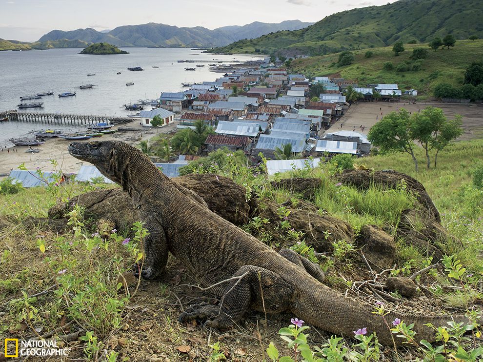 ӡ�������ǵĿ�Ī����