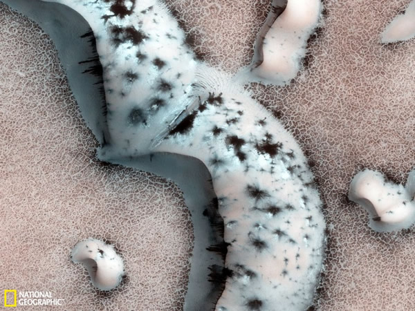 ���Ǳ�����ɳ��