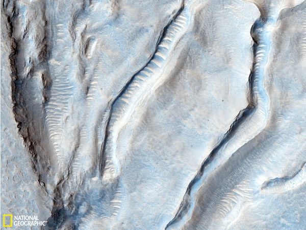 �����ϵ����ι�