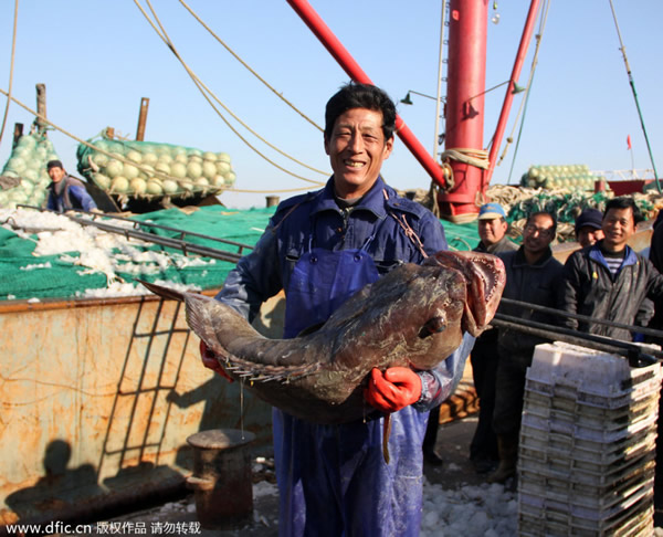 �㽭��ɽ���񲶻��1�׳��ش�Ұ��������