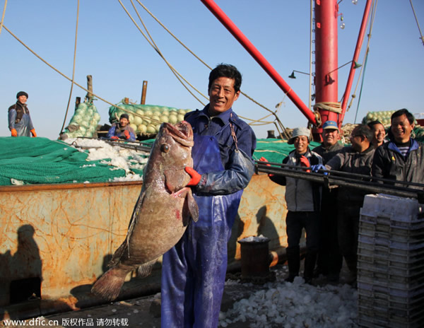 �㽭��ɽ���񲶻��1�׳��ش�Ұ��������