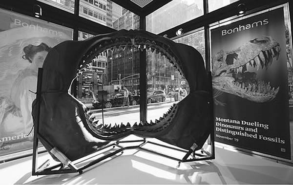 һ��ŦԼ������չ����������ʯ