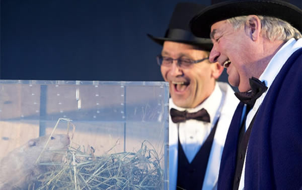 ���ô󰲴���ʡ������С�������������������Ԥ��������