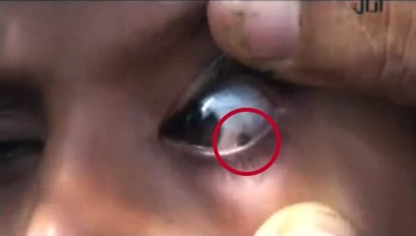 Ҷ��12����Ů����ʱ��޳�ʯͷ