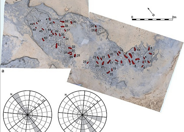 Ӣ������������80����ǰ�����㼣��ʯ