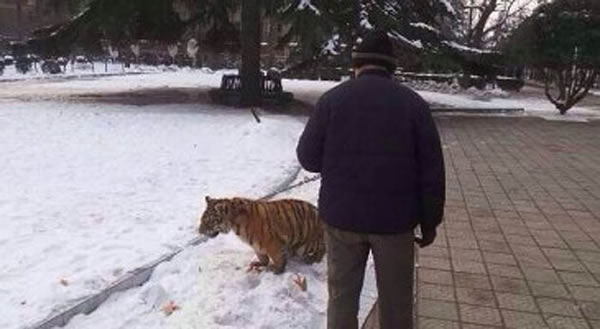 ����ʡ����������԰�Ϻ����ϻ�