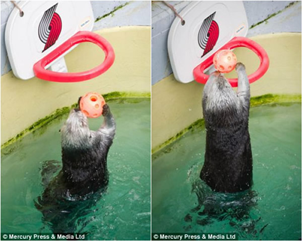 ��������԰16�꺣̡����������Ͷ�֡�