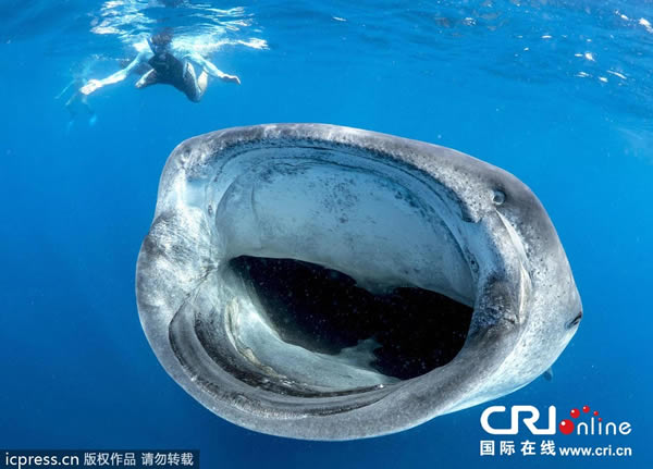 ��������ѧ���������;����ſ���Ѫ���ڡ��ľ���һĻ