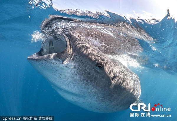 ��������ѧ���������;����ſ���Ѫ���ڡ��ľ���һĻ