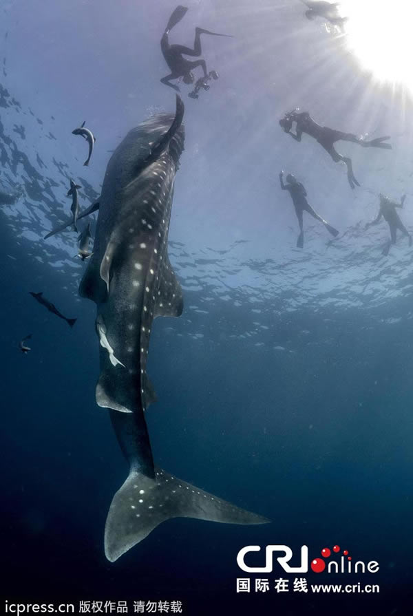 ��������ѧ���������;����ſ���Ѫ���ڡ��ľ���һĻ