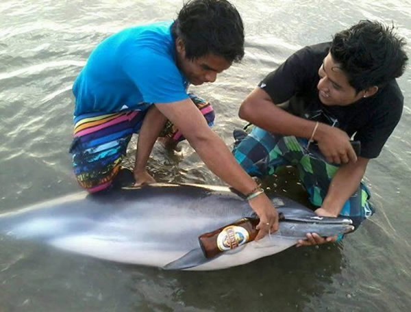 ��³���������һϢ�ĺ���ιơ��