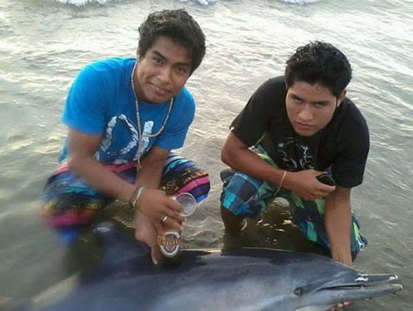 ��³���������һϢ�ĺ���ιơ��